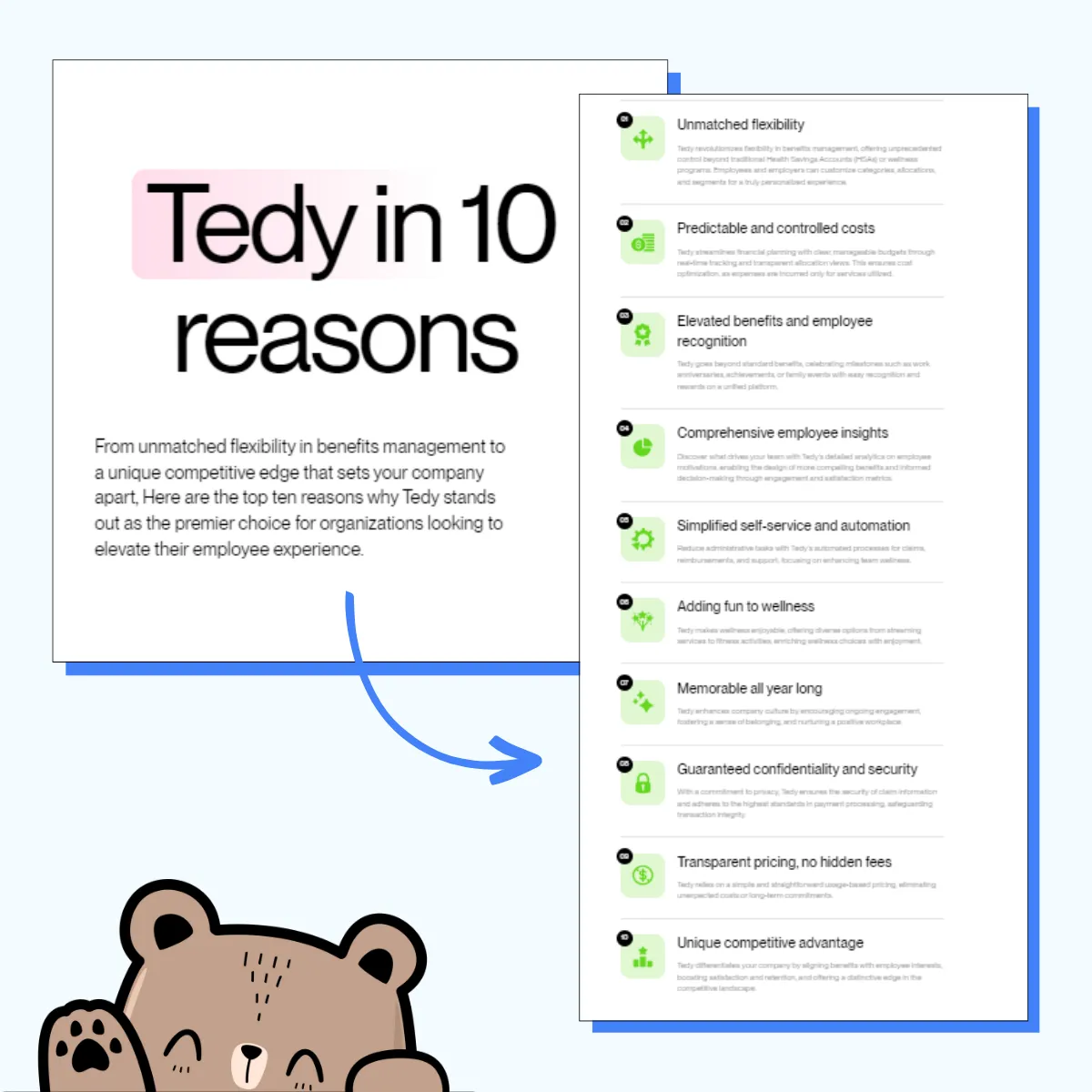 10 Reasons to Choose Tedy